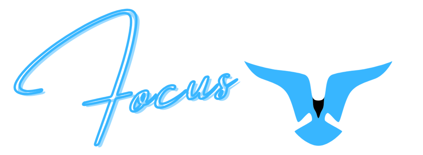 Falco Focus